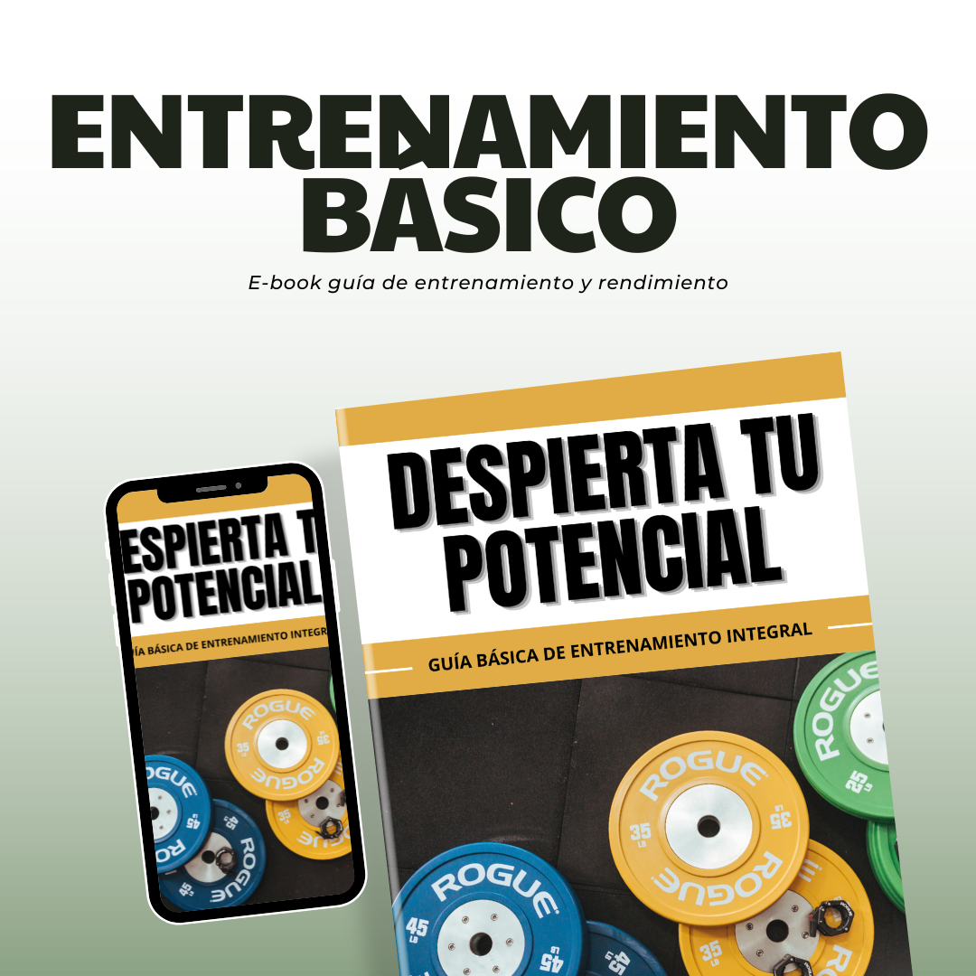E-Book de Entrenamiento